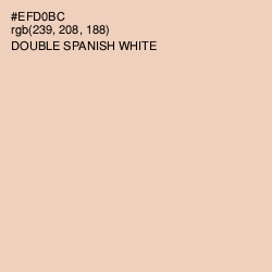 #EFD0BC - Double Spanish White Color Image